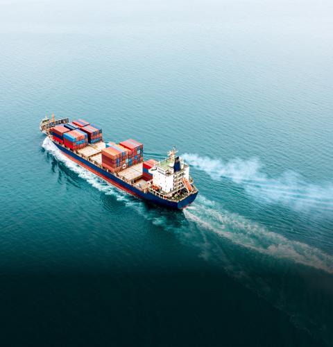 Ocean Liner and Agency Group - MGH Group